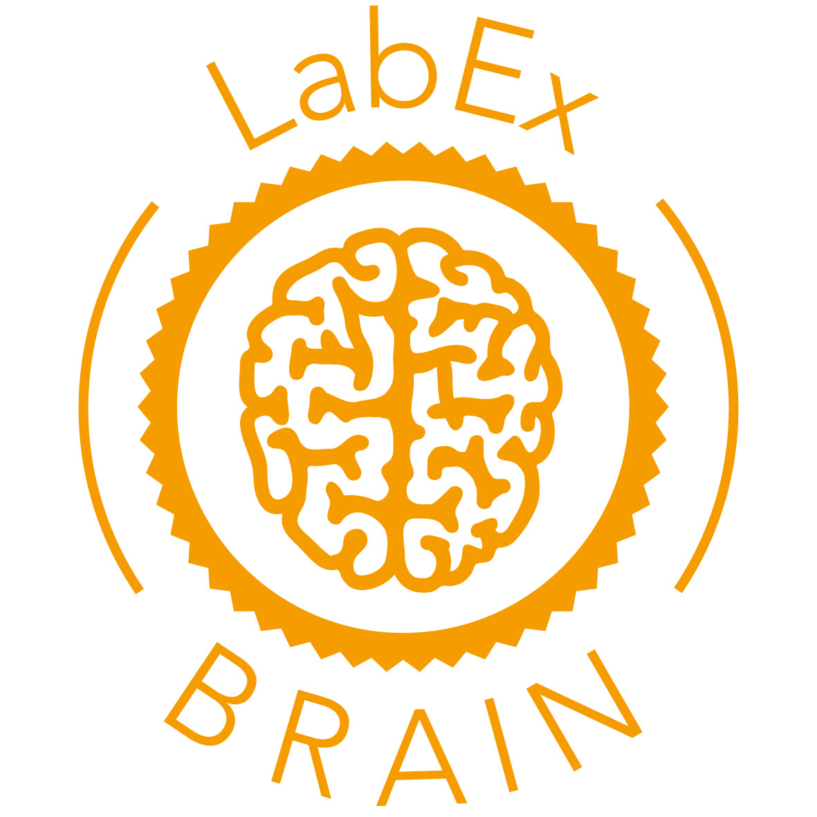 Labex Brain
